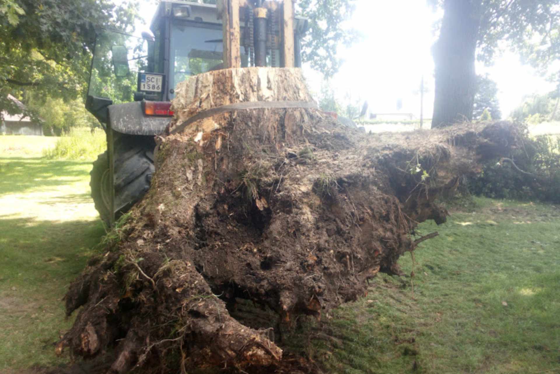 Karczowanie i zrębkowanie