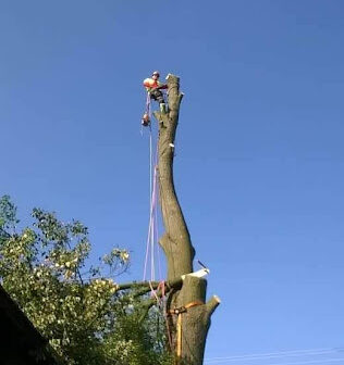 received_384466099171734