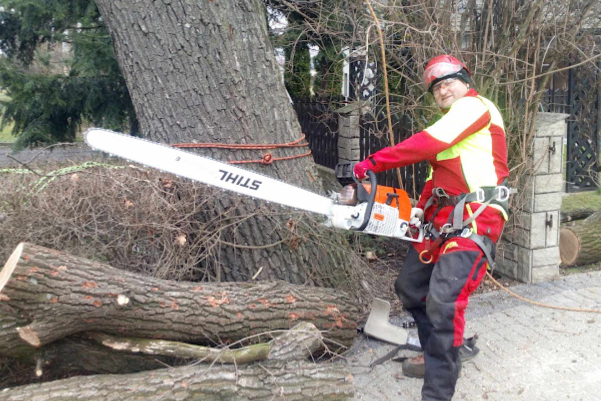 Wycinka i pielęgnacja drzew